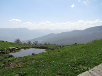 photo 1235940