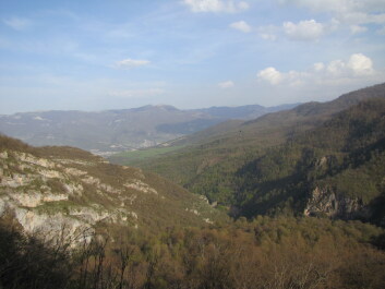 photo 1235942