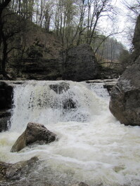 photo 1235943