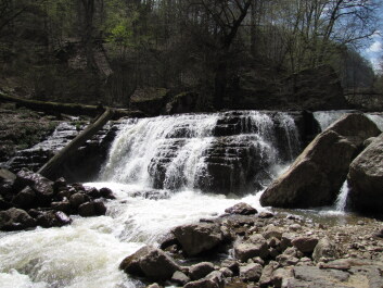 photo 1235944