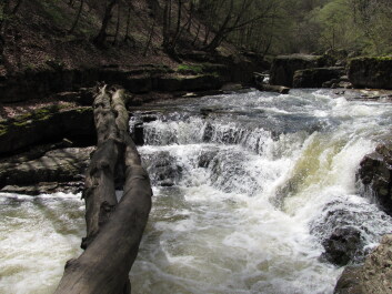 photo 1235945