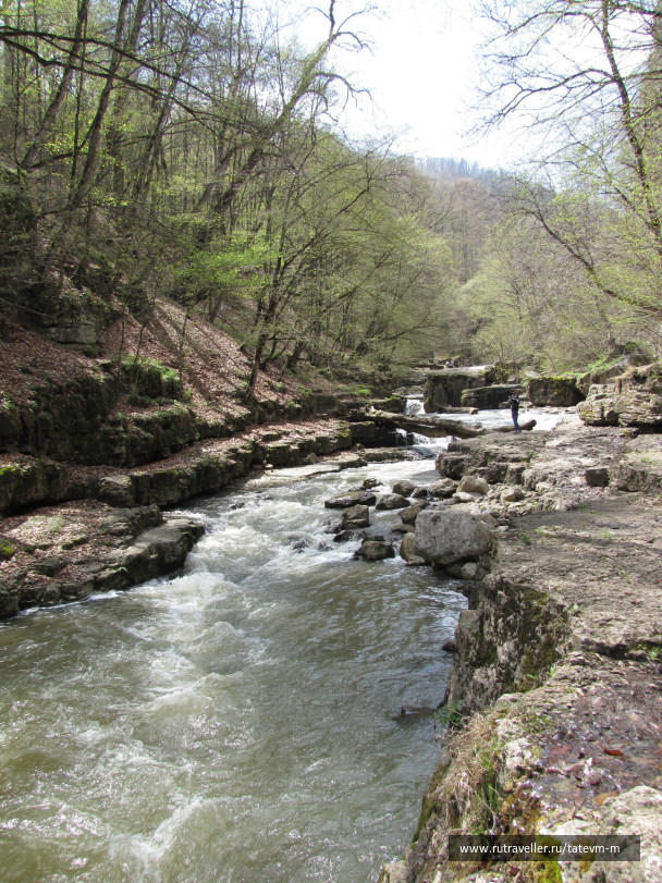 photo 1235946