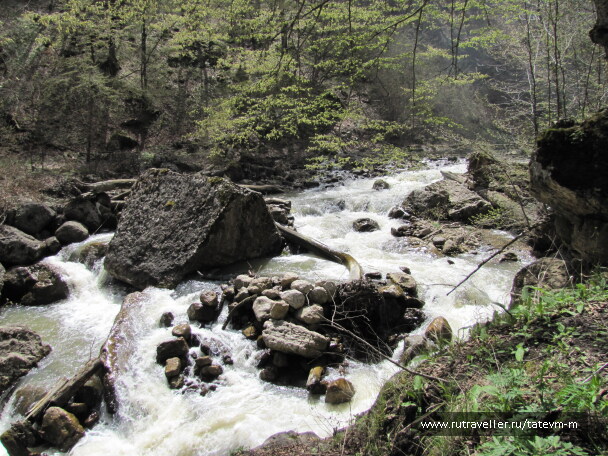 photo 1235947