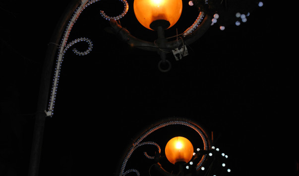 DSC_0074