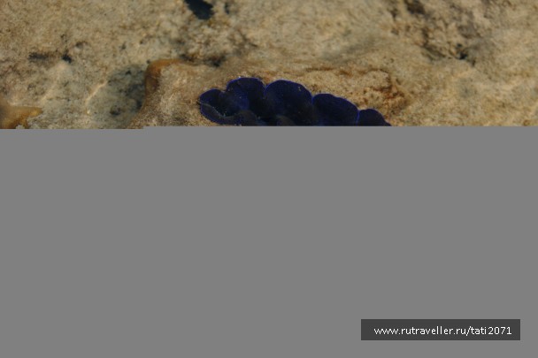 photo 749375