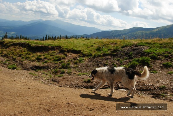 photo 926823