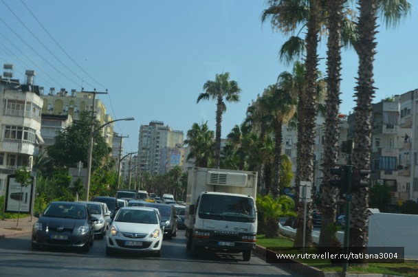 photo 834368