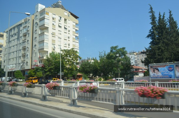 photo 834372