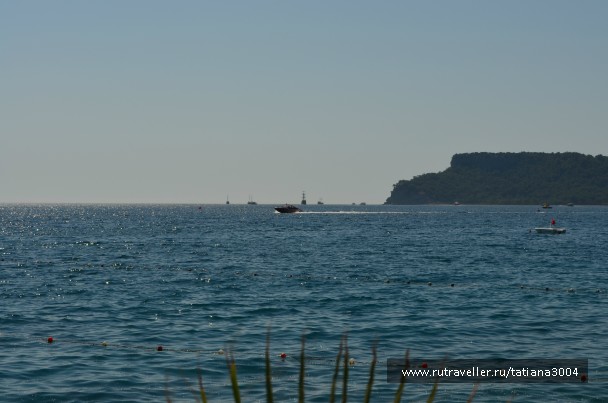 photo 834380