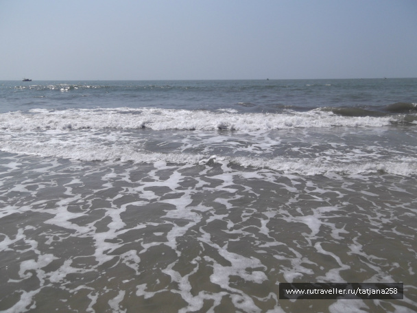 photo 298827