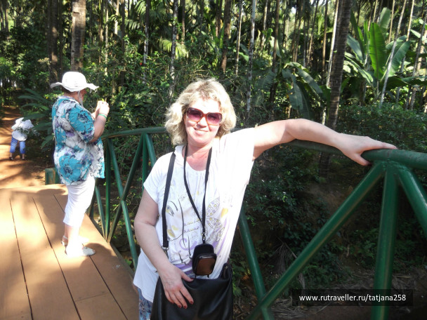photo 298832