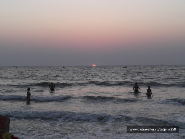 photo 298833