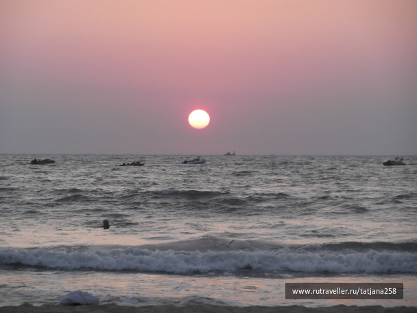 photo 298834