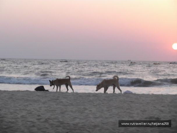 photo 298835
