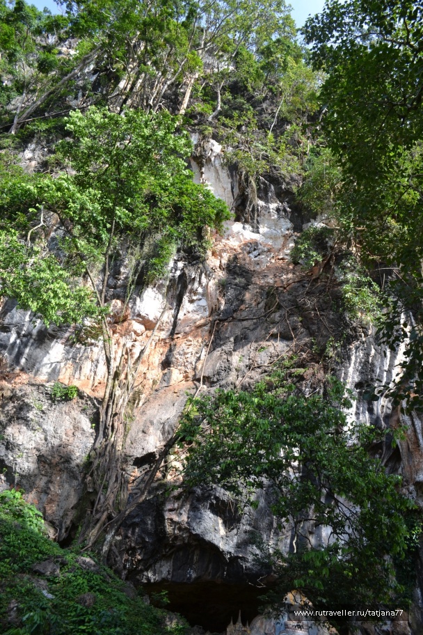 photo 303785