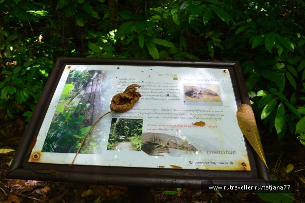 photo 856958