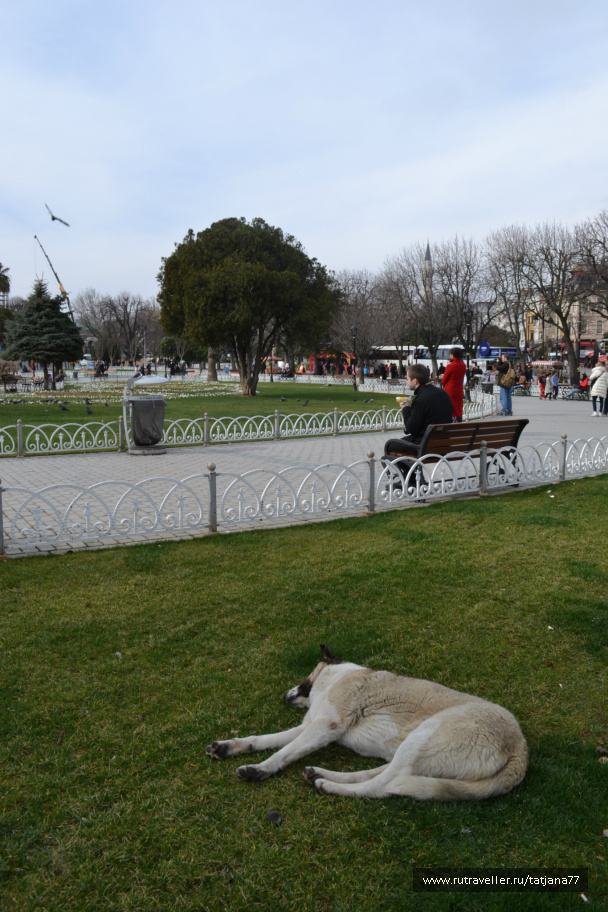 photo 373863