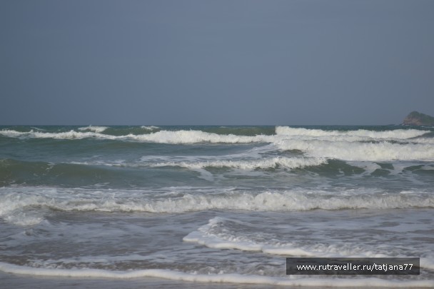 photo 985579