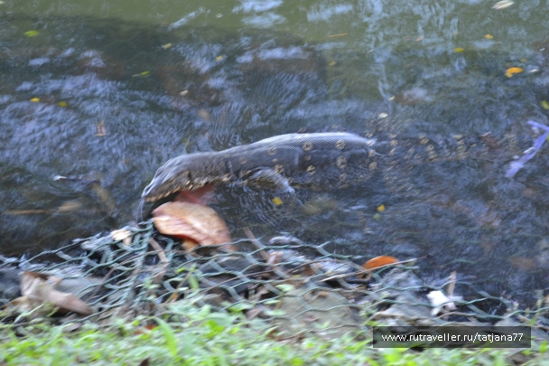 photo 853055