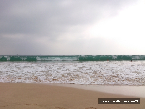 photo 856699