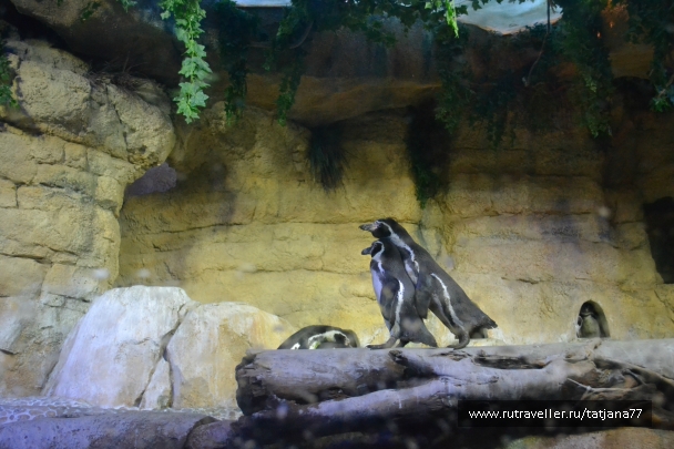 photo 897103