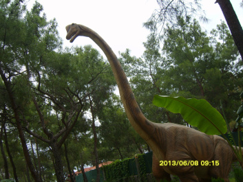 photo 438112