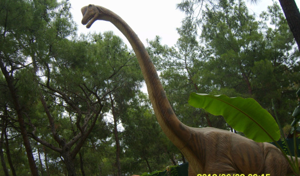 S8304263_1