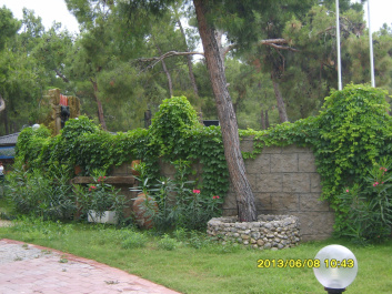 photo 541972