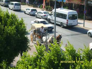 photo 441175