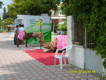 photo 472125