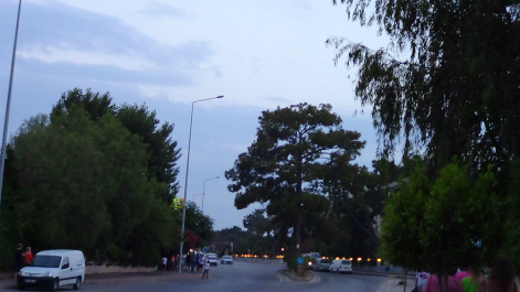 photo 546373