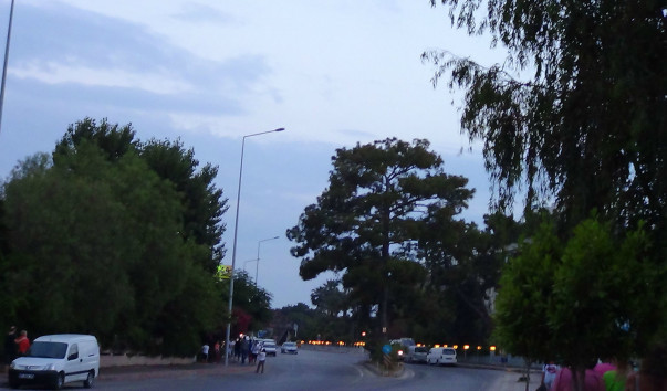 DSC01106_1