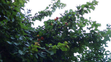 photo 546378