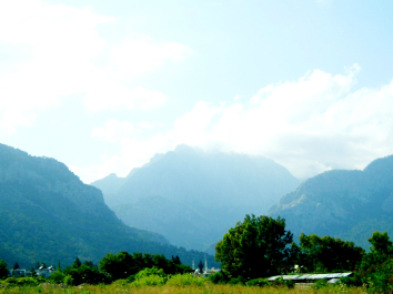 photo 640710