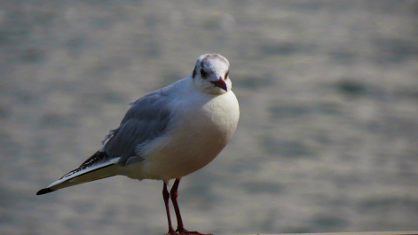 photo 664818