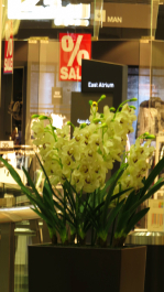 photo 686771