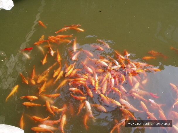 photo 565962