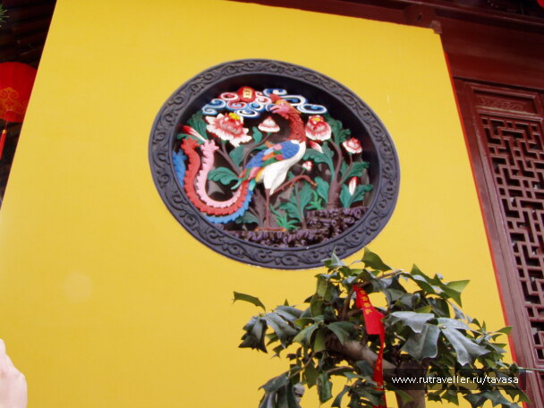 photo 565974