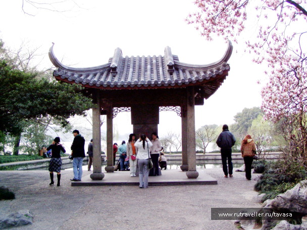 photo 565988