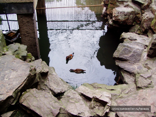 photo 565997