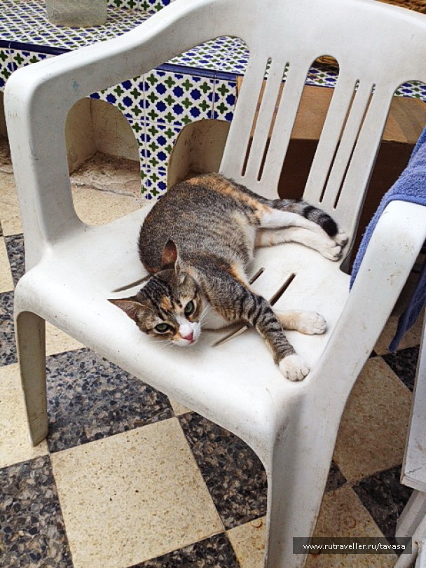 photo 1752975