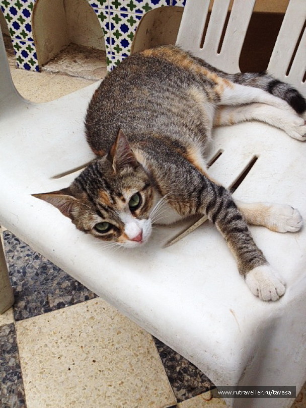 photo 1752976