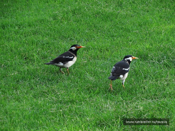 photo 1314519