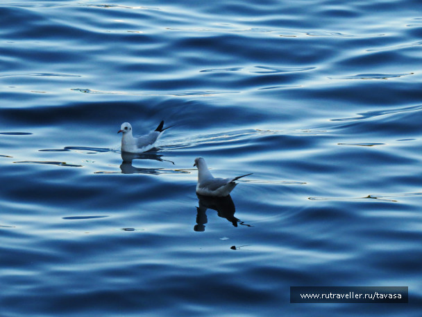 photo 1589904