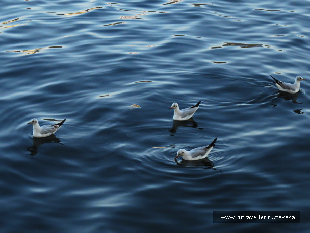 photo 1589905