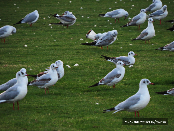 photo 1595215