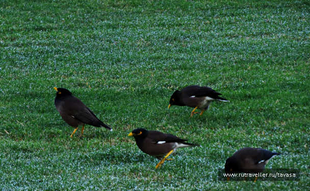 photo 1595216