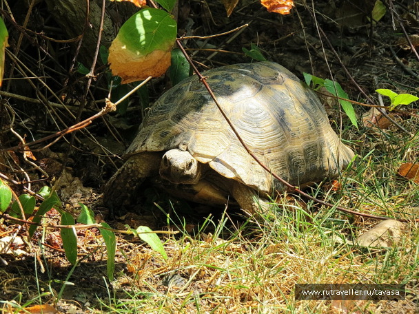 photo 1279983