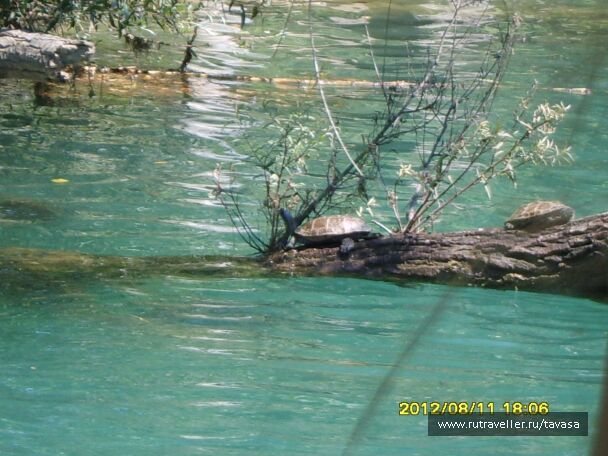 photo 568514