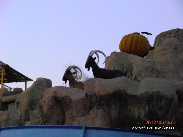 photo 568517